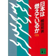 日本は燃えているか（下）（講談社） [電子書籍]