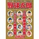 野球太郎 No.034 プロ野球選手名鑑＋ドラフト候補名鑑2020（imagineer） [電子書籍]