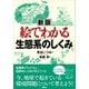 新版 絵でわかる生態系のしくみ（講談社） [電子書籍]