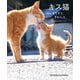 キス猫 - すりすり、ぎゅっ、と。-（ワニブックス） [電子書籍]