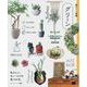 暮らしの図鑑 グリーン 楽しむ工夫×いま取り入れたい観葉植物64×基礎知識（翔泳社） [電子書籍]