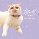 ホイちゃん hoippu cream PHOTOBOOK （玄光社） [電子書籍]
