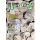 小さな蕾 No.622（創樹社美術出版） [電子書籍]