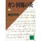 ガン回廊の炎（上）（講談社） [電子書籍]