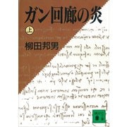 ガン回廊の炎（上）（講談社） [電子書籍]