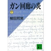 ガン回廊の炎（下）（講談社） [電子書籍]