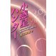 小惑星ハンター（誠文堂新光社） [電子書籍]