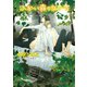ふかい森のなかで（徳間書店） [電子書籍]