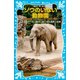 ゾウのいない動物園 -上野動物園 ジョン、トンキー、花子の物語-（講談社） [電子書籍]