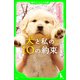 犬と私の10の約束（KADOKAWA） [電子書籍]