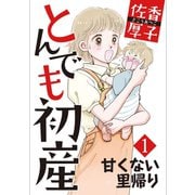 とんでも初産1甘くない里帰り（秋水社ORIGINAL） [電子書籍]