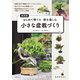 新装版 小さな盆栽づくり（主婦の友社） [電子書籍]