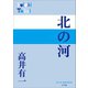 P＋D BOOKS 北の河（小学館） [電子書籍]