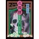 花髑髏（KADOKAWA） [電子書籍]