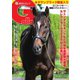 週刊Gallop（ギャロップ） 2020年6月21日号（サンケイスポーツ） [電子書籍]