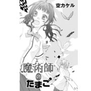 魔術師のたまご（コンパス） [電子書籍]