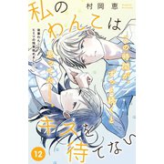 私のわんこはキスを待てない（comic tint）分冊版（12）（講談社） [電子書籍]