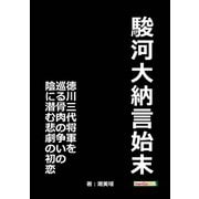 駿河大納言始末 徳川三代将軍を巡る骨肉の争いの陰に潜む悲劇の初恋（まんがびと） [電子書籍]