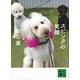 スピンクの笑顔（講談社） [電子書籍]