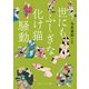 世にもふしぎな化け猫騒動（KADOKAWA） [電子書籍]