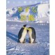 美しい海の生き物 きずな図鑑（二見書房） [電子書籍]