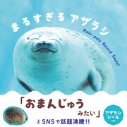 まるすぎるアザラシ（パイ インターナショナル） [電子書籍]