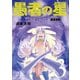 愚者の星（3）（講談社） [電子書籍]