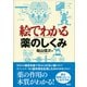 絵でわかる薬のしくみ（講談社） [電子書籍]