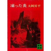 凍った炎（講談社） [電子書籍]
