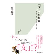 「文」とは何か～愉しい日本語文法のはなし～（光文社） [電子書籍]