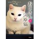 おじさんと河原猫（扶桑社） [電子書籍]
