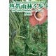 熱帯雨林を歩く（旅行人） [電子書籍]