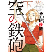 空の鉄砲 下巻（大洋図書） [電子書籍]