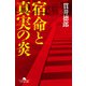 宿命と真実の炎（幻冬舎） [電子書籍]