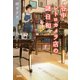 谷中レトロカメラ店の謎日和（宝島社） [電子書籍]