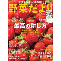 ヨドバシ Com 野菜だより 年11月号 ブティック社 電子書籍 通販 全品無料配達