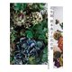 花生師 岡本典子の花仕事（誠文堂新光社） [電子書籍]