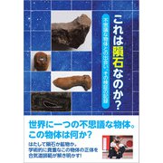 これは隕石なのか？（東洋出版） [電子書籍]