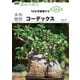 コーデックス（NHK出版） [電子書籍]