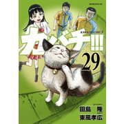 カバチ！！！ -カバチタレ！3-（29）（講談社） [電子書籍]