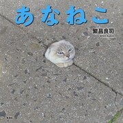 あなねこ（集英社） [電子書籍]