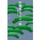 能鑑賞二百六十一番 現行謡曲解題（淡交社） [電子書籍]