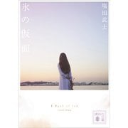 氷の仮面（講談社） [電子書籍]