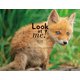 Look at me！ 動物たちと目が合う1/1000秒の世界（KADOKAWA） [電子書籍]