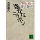 遙かなニッポン（講談社） [電子書籍]