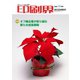 印刷界 12月号（日本印刷新聞社） [電子書籍]