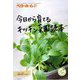 今日から育てるキッチン菜園読本（ベターホーム協会） [電子書籍]