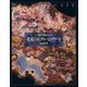 花束の石 プルーム・アゲート（創元社） [電子書籍]