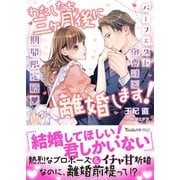 わたしたち、三ヶ月後に離婚します！～パーフェクト御曹司と期間限定婚～（ヴァニラ文庫） [電子書籍]