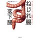 ねじれ腸 落下腸 滞った便がグイグイ出てくる 快うんマッサージ（主婦の友社） [電子書籍]
